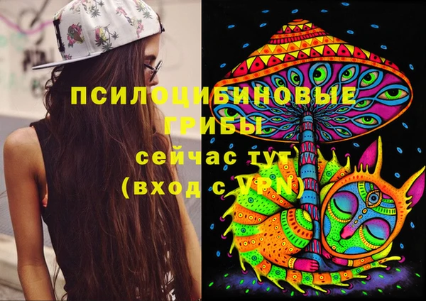 соль ск Аркадак