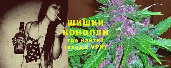 крисы Армянск