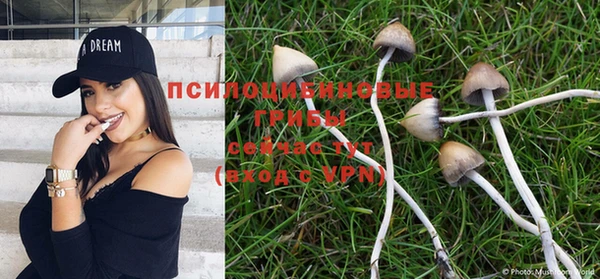 крисы Армянск