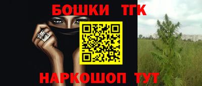 дживик Волжск