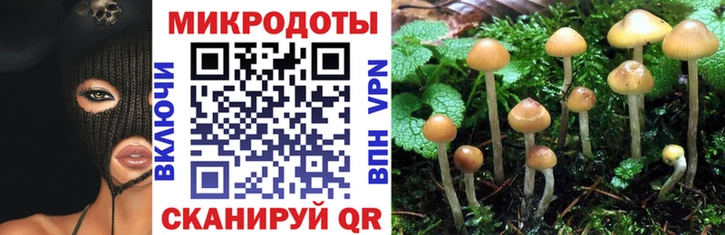 Псилоцибиновые грибы Psilocybe Коломна