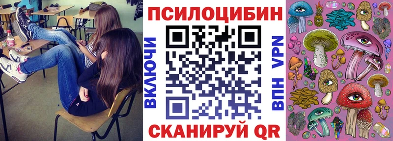 omg зеркало  Коломна  Галлюциногенные грибы Psilocybine cubensis 